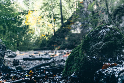 Close-up of rock