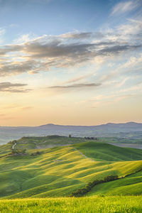 Scenic view of agricultural field against sky during sunset