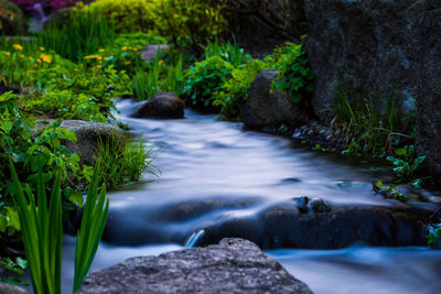 River flowing through rocks