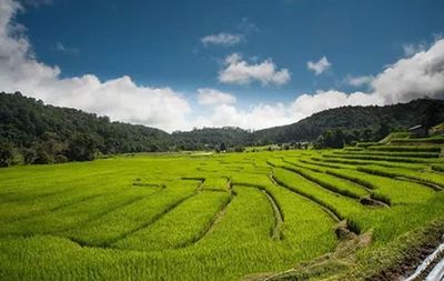 Scenic view of field against cloudy sky