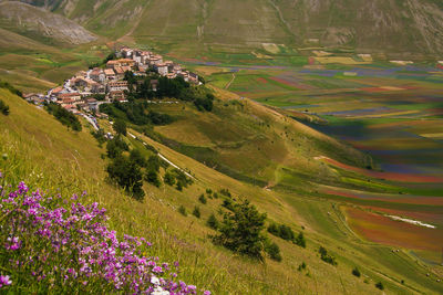 High angle view of field and buildings