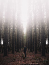 Man amidst trees in forest