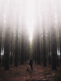 Man amidst trees in forest