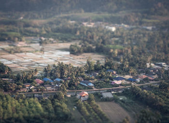 High angle view of buildings and trees in city