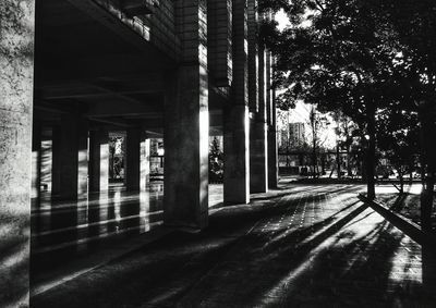 Shadow of trees on building