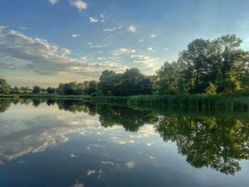 reflection
