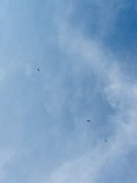 Low angle view of birds flying in sky