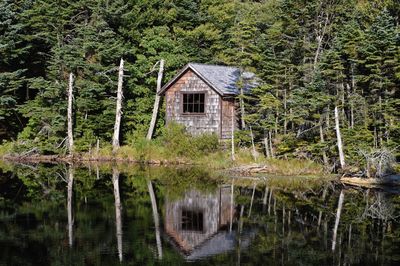 House by lake and trees in forest