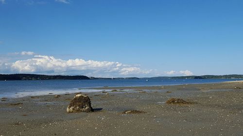 Scenic view of beach against blue sky