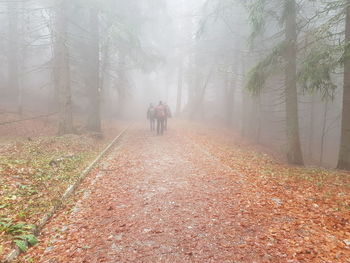 Rear view of people walking in forest during autumn