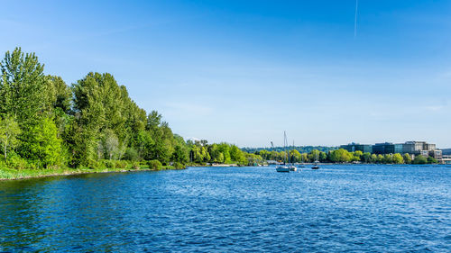 Scenic view of sea against blue sky