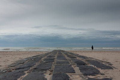 Rear view of man on beach against sky