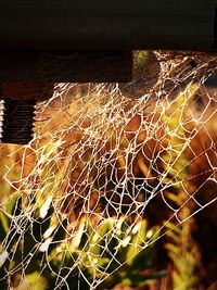 Close-up of barbed wire fence