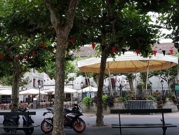 Bicycles parked by tree