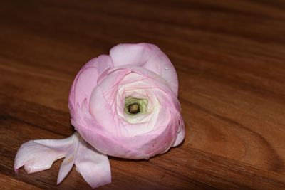 Close-up of pink rose on wooden table