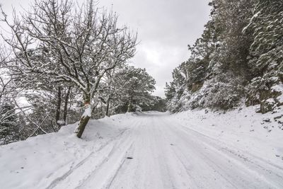 Road amidst trees against sky during winter