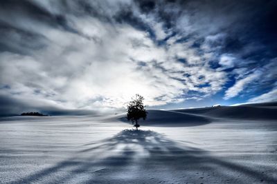 Person walking on snow covered landscape against sky