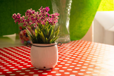 Close-up of potted plant on table