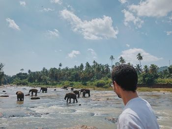 Man looking at elephants in river against sky