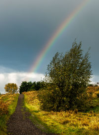 Scenic view of rainbow over field against sky