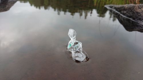 High angle view of floating on water