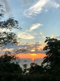 Low angle view of silhouette trees against sky during sunset