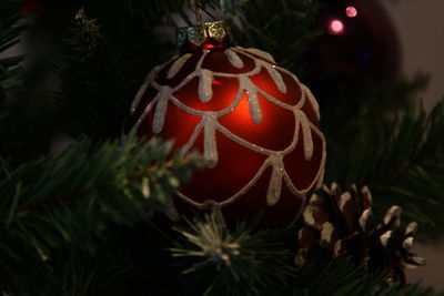 Close-up of christmas tree
