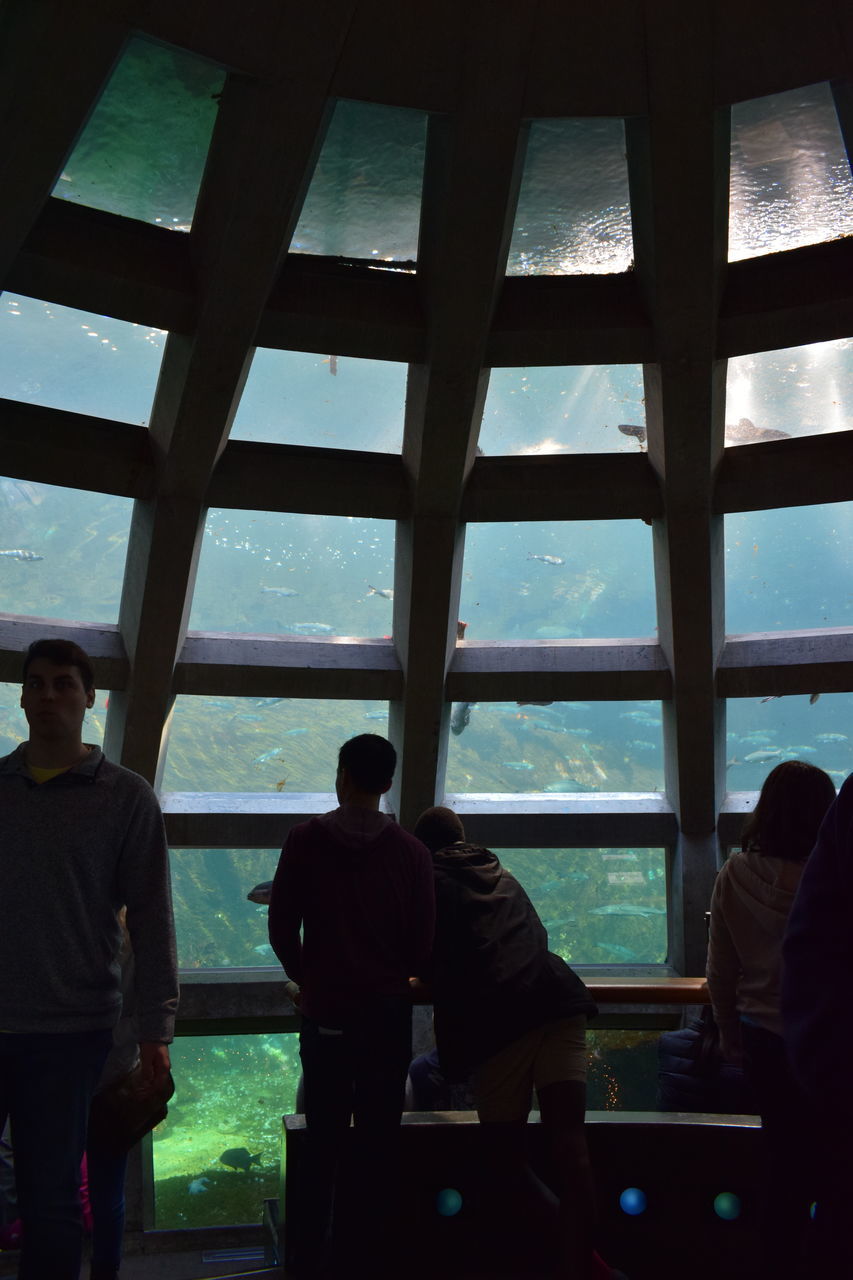 PEOPLE STANDING IN GLASS WINDOW