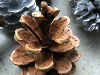 High angle view of food on table
