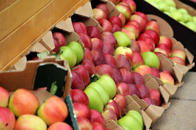 High angle view of chopped fruits in container