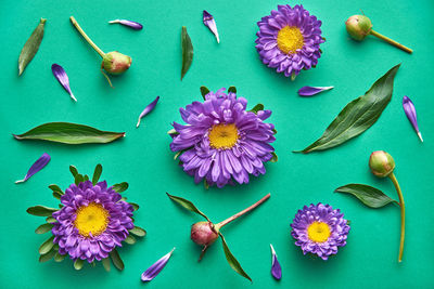 Purple daisy flower pattern on a green background. top view