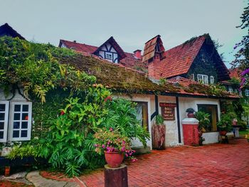 House by plants against sky