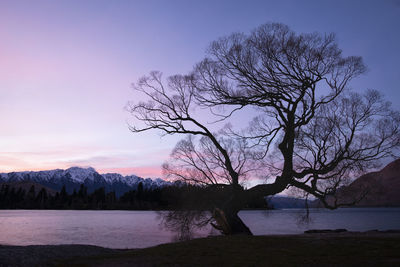 Bare tree by lake against sky during sunset