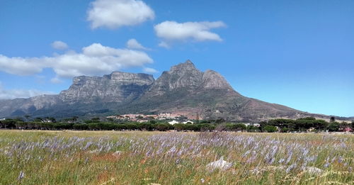 Scenic view of grassy field by mountains against sky