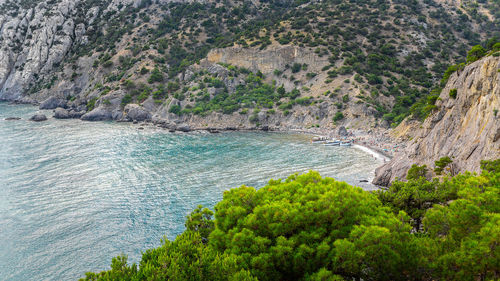 High angle view of bay and trees on shore