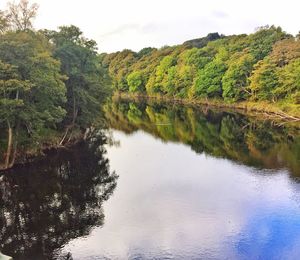 Reflection of trees in lake against sky