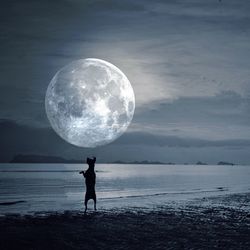 Silhouette man standing at beach against sky at night