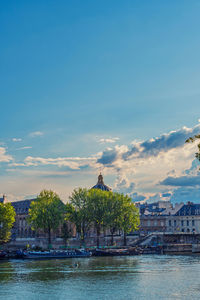 Trees by river against buildings in city