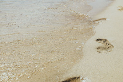 High angle view of footprints on wet sand