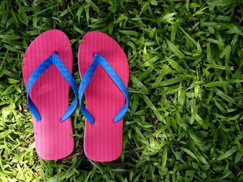 Photo of colorful rubber slippers or flip flops on fresh green grass