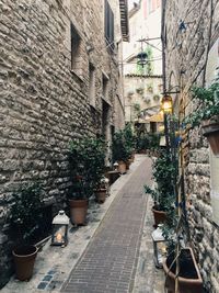 Street amidst buildings in town