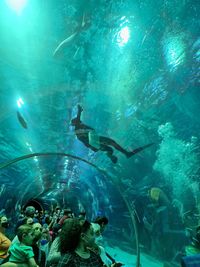 Fish swimming in sea