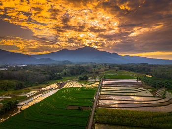 landscape