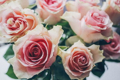 Close-up of rose bouquet