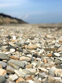 Close-up of stones on beach