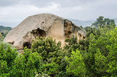 Scenic view of mountain against sky