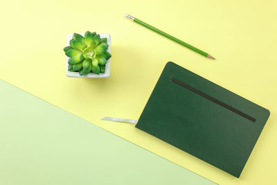 Close-up of pencil with diary and potted plant on table