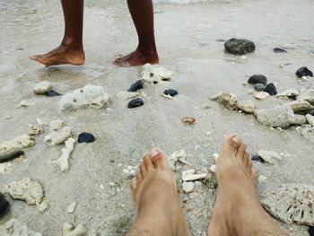 Low section of people standing on beach