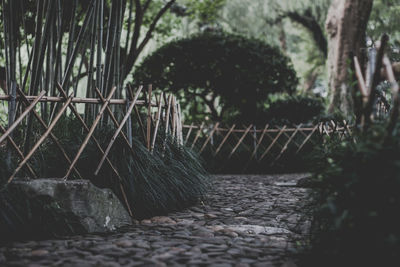 Footpath by rocks in park