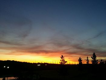 Silhouette of trees at sunset